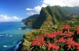 Paste si 01 Mai 2021 in insula Madeira - avion, 7 nopti