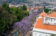 Imagini Revelion Madeira - avion, 31 Decembrie